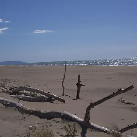 Mediterraneo Apart Otel