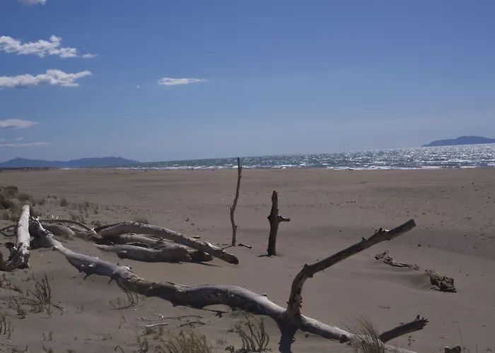 Mediterraneo Lägenhetshotell