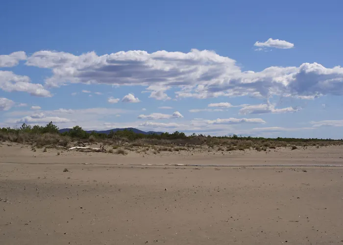 Mediterraneo Marina di Grosseto